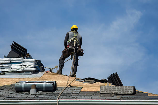 Professional Storm Damage Roof Repair technician working in Lincoln, DE